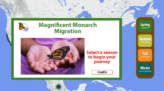 Far fewer monarch butterflies are migrating through Texas this