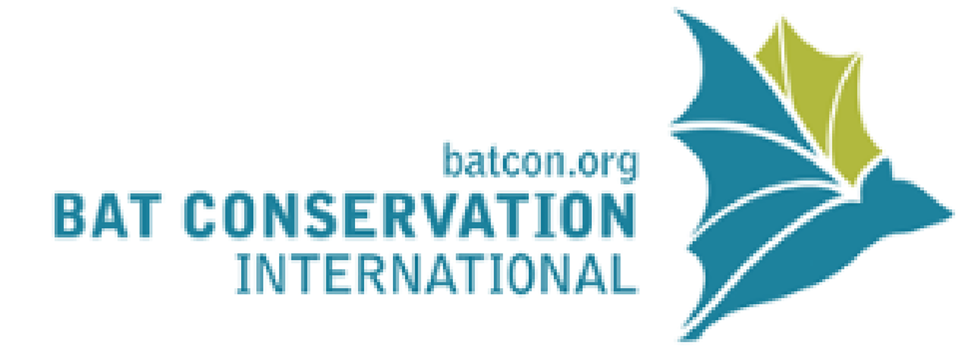 Bat Conservation International