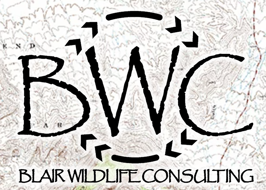 Blair Wildlife Consulting