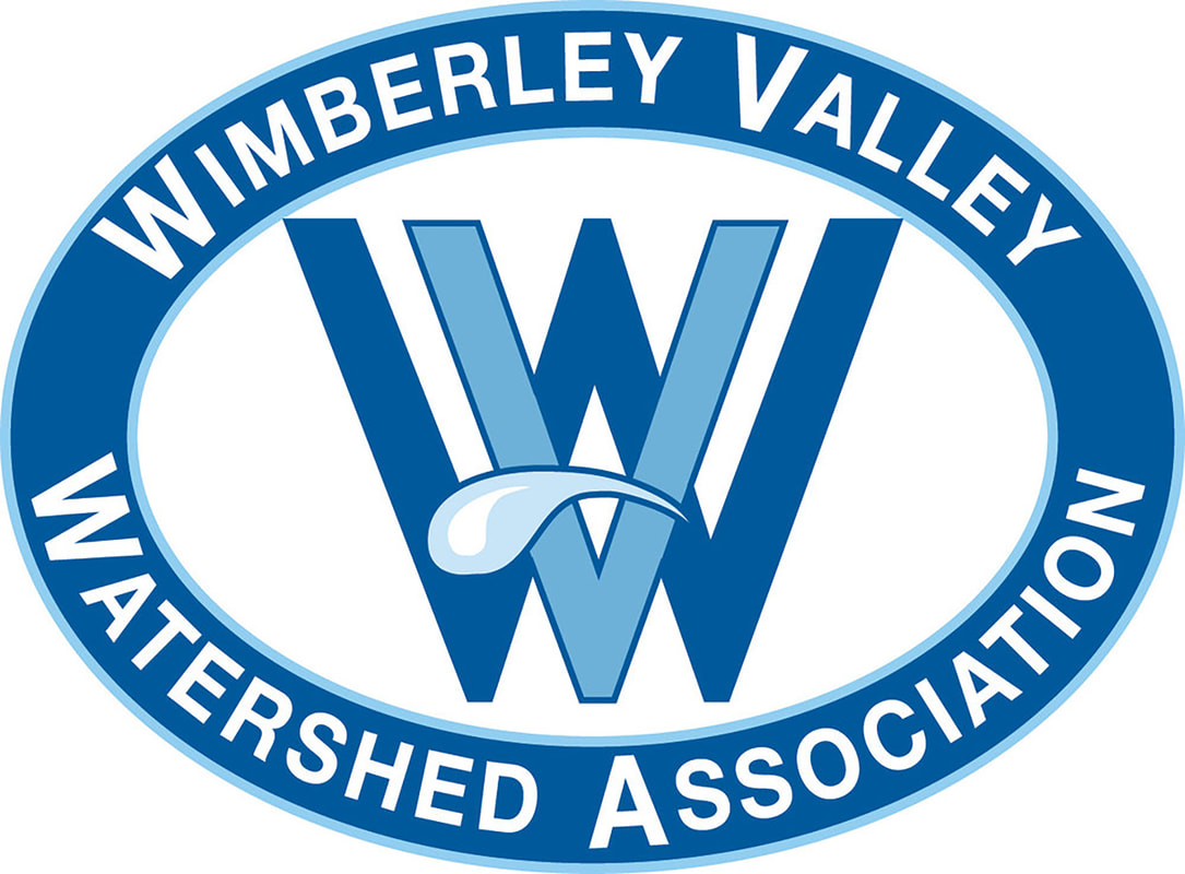 Wimberley Valley Watershed Association